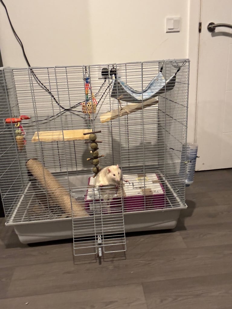 image for Savic rat cage