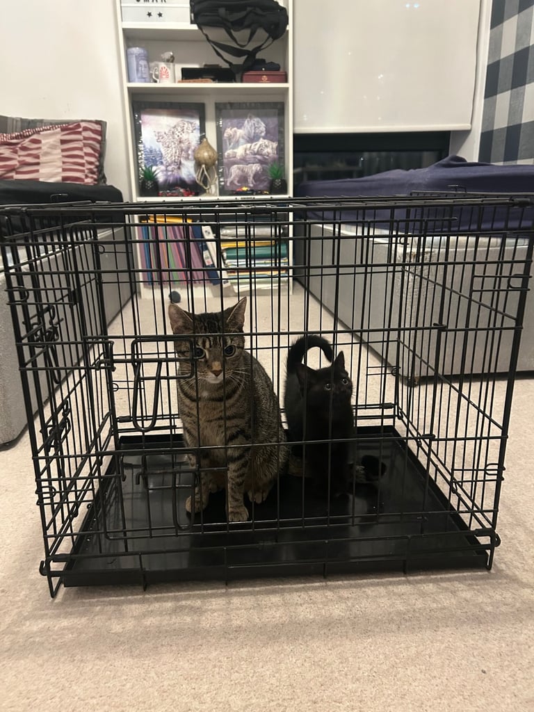 Medium dog/cat cage