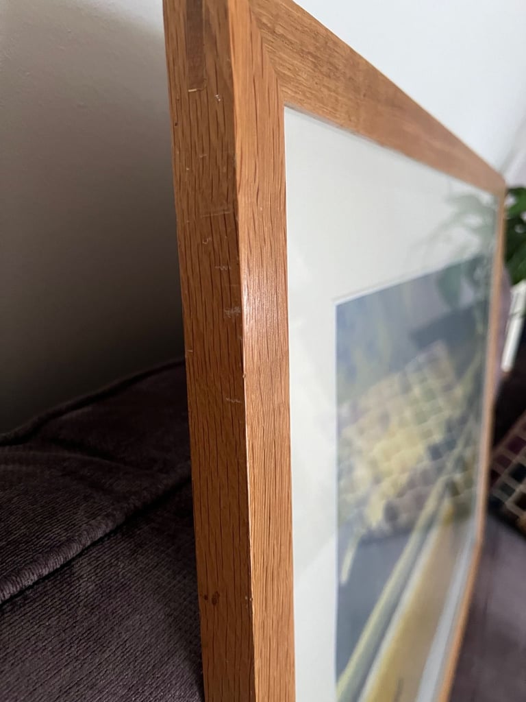 Large limited edition signed framed wildlife print picture