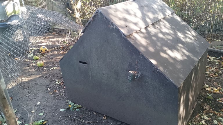 hen coop, run and feeder