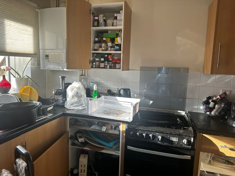 image for Professional regular cleaner 