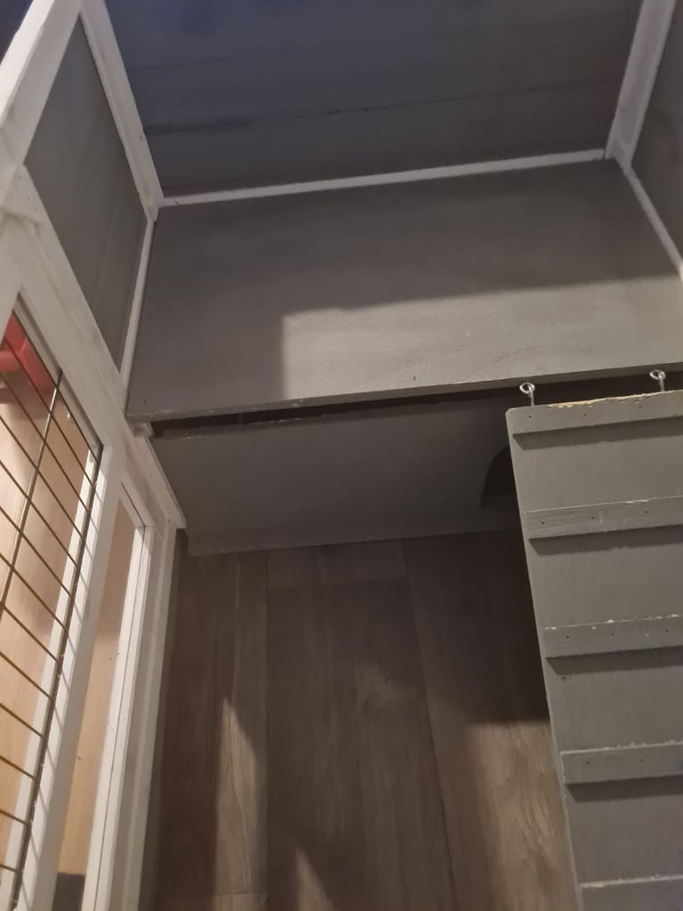 Rabbit/guinee pig hutch
