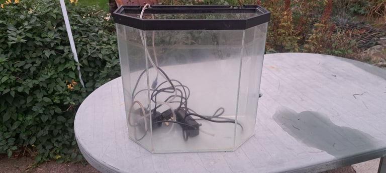 Tank, filter, bubble rock