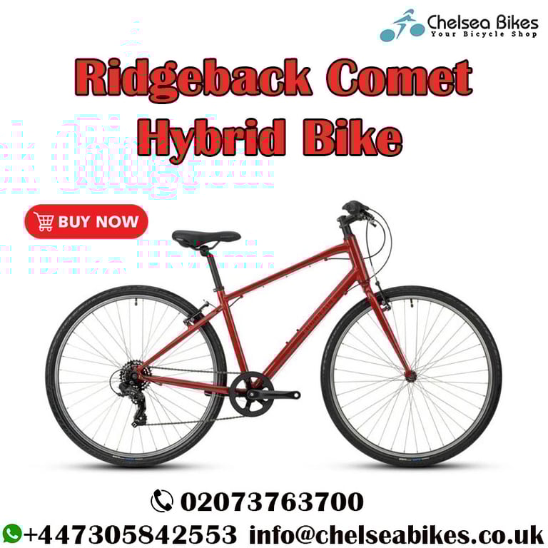 Ridgeback comet ladies outlet