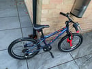 Carrera  Blast boys mountain bike