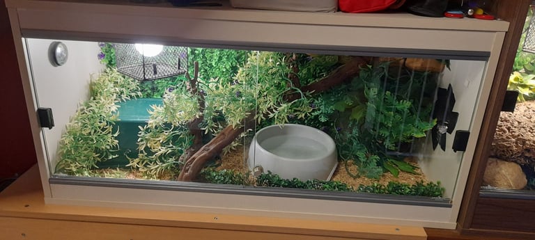 Vivarium 