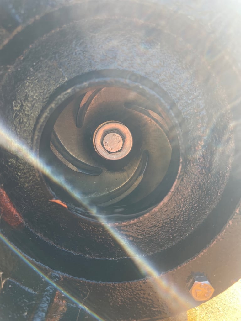 Effluent/ dirty water pump 