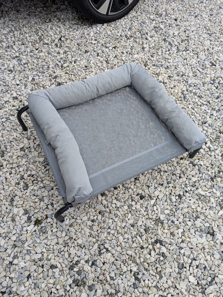 Dog Training/Raised Bed