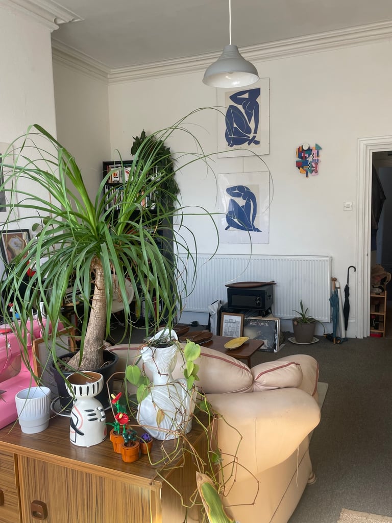 10 minutes walk from Leeds centre - 1 bed self-contained flat