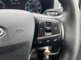 2.0 EcoBlue 130ps Low Roof Limited Van