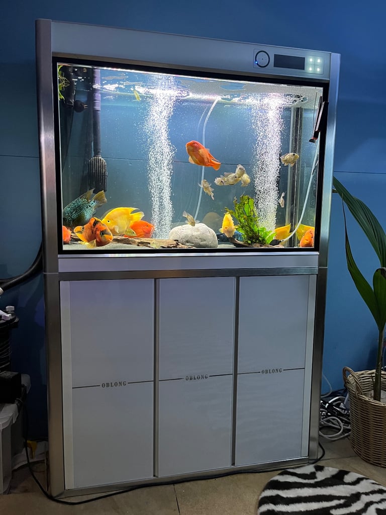 Brand new state of art led fish tank 