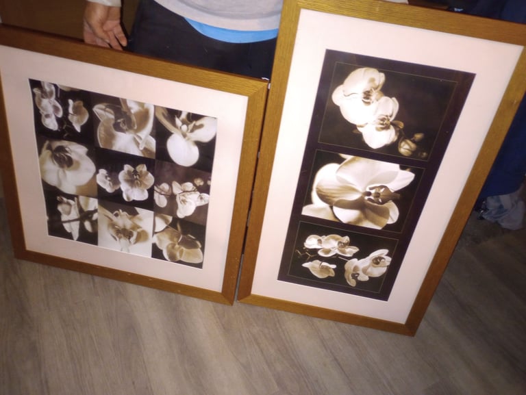 image for 2 pics for sale 