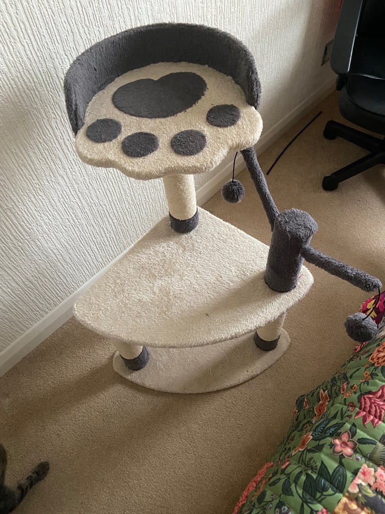 image for Cat beds and scratch posts