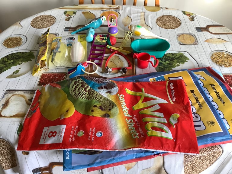 Assorted budgie toys