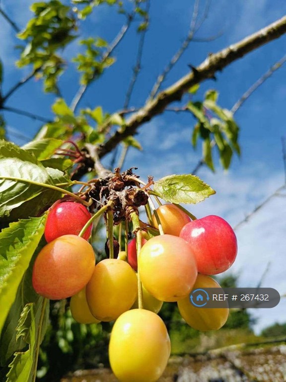 3 bedroom house in Fourwinds, Aberdeen, AB15 (3 bed) (#267432)