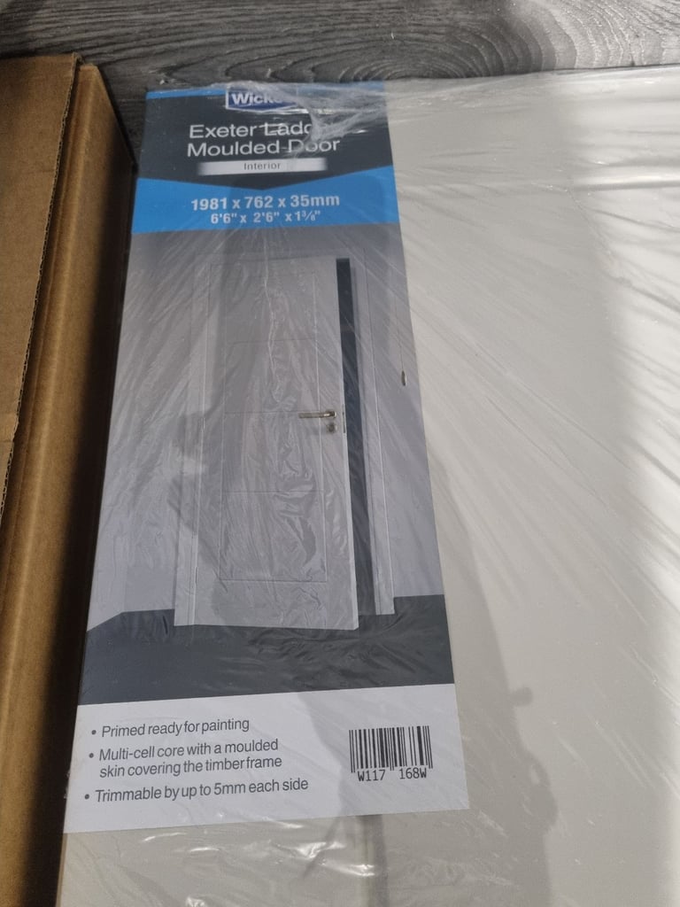 Brand new ladder door