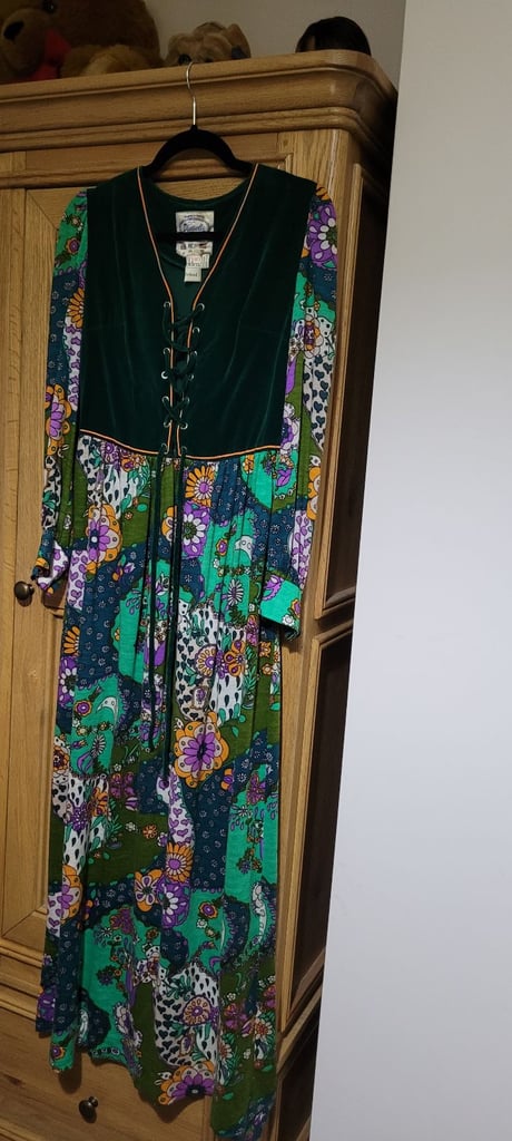 image for Princess Fiona dress or Julie Andrews