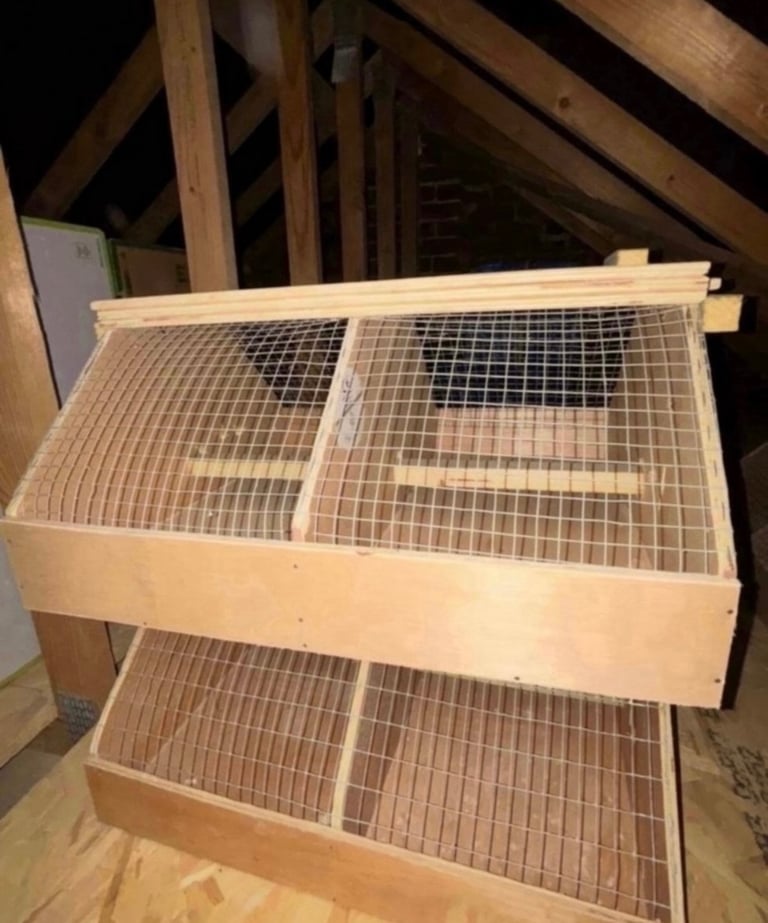 1 or 2 Brand New Bird or small animal transport cages boxes