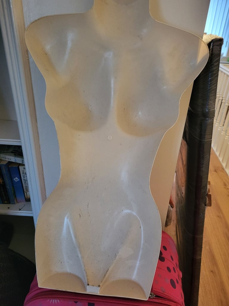 image for 5 x Upper body plastic displaycasts 