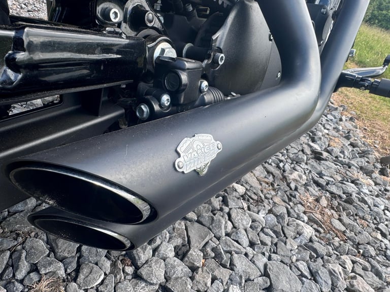 Harley-Davidson 48 FORTY EIGHT XL 1200 Sportster **Limitless Customs Look**