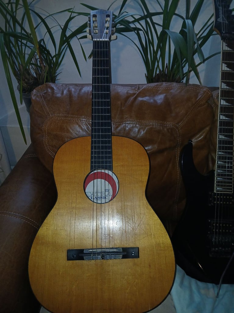 Acoustic guitar