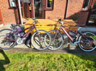 Pendleton Brooke girls/women&#039;s bikes