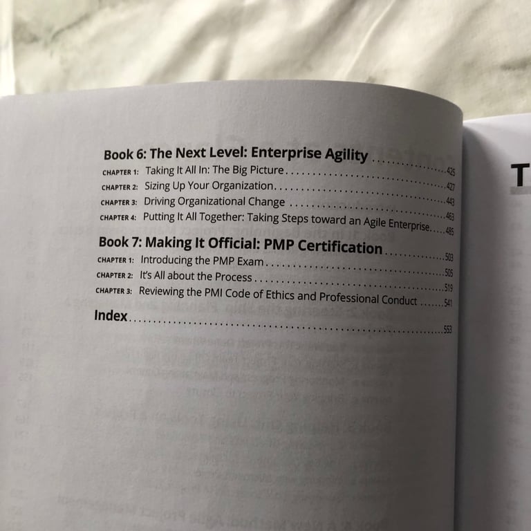 Project Management All-In-One for Dummies