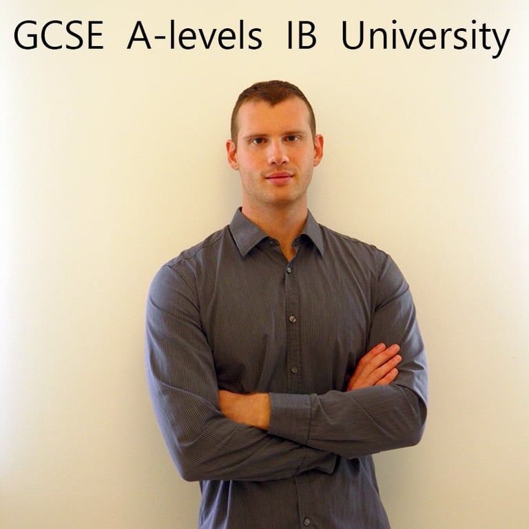 Experienced online maths and physics tutor all levels in bermondsey