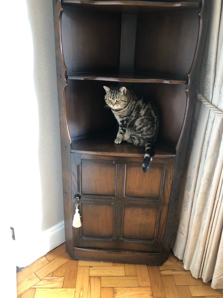 image for Ercol corner dresser 