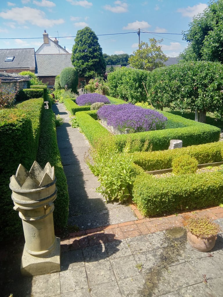 Autumn Garden Tidy Up