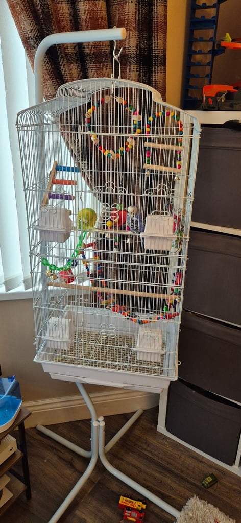 image for Bird Cage, Stand & Birds