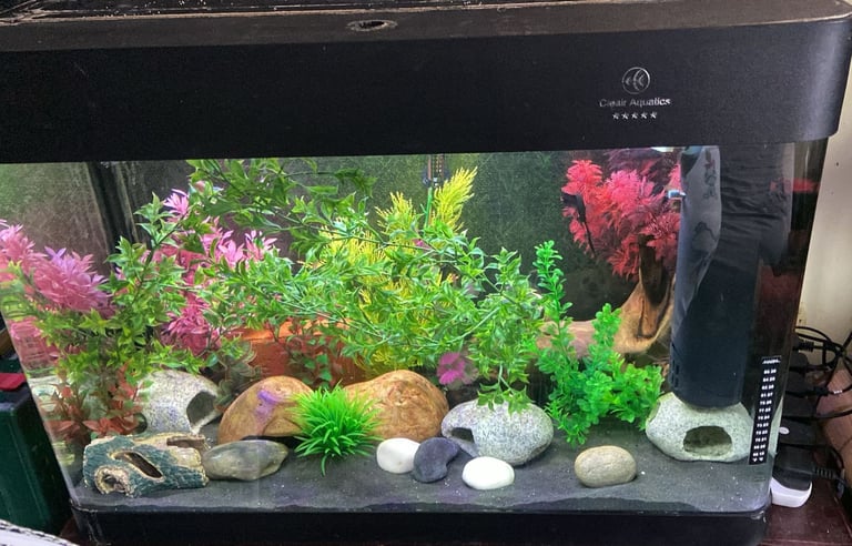 image for Clear Aquatics Black (150 Litre) Fish Tank