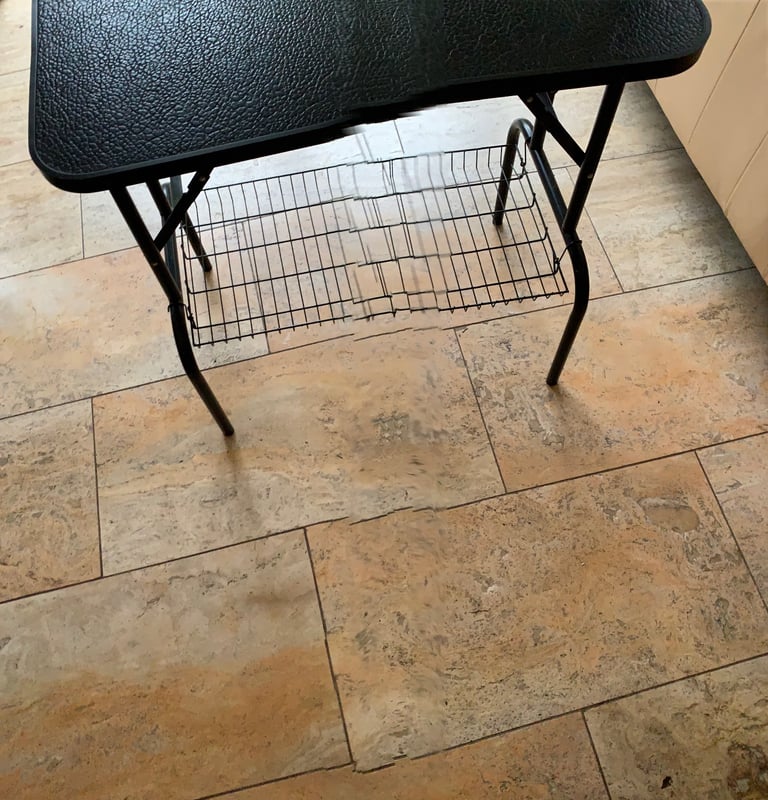 Dog grooming table