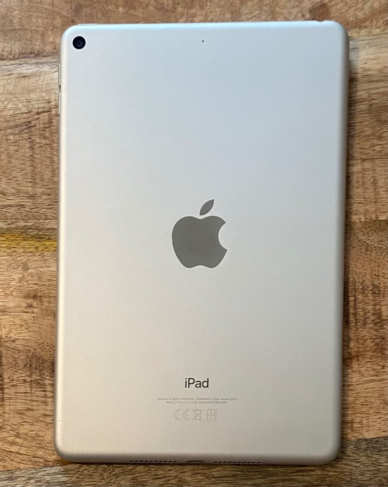 iPad Mini Silver 64GB 
