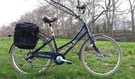 Pendleton Blossomby awesome ladies womens tall girls step trough bike bicycle in great condition