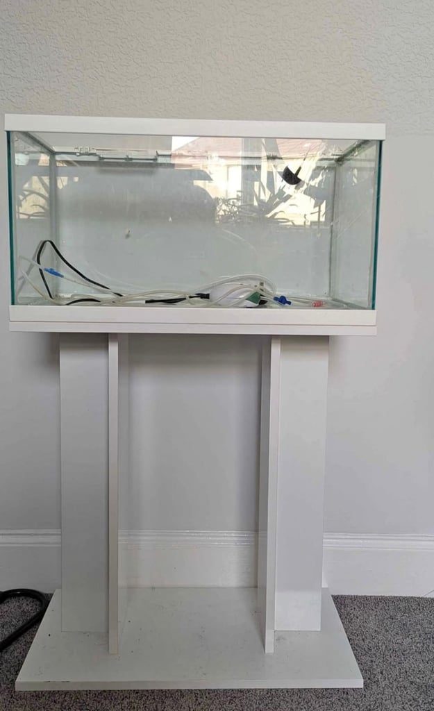 Fish tank