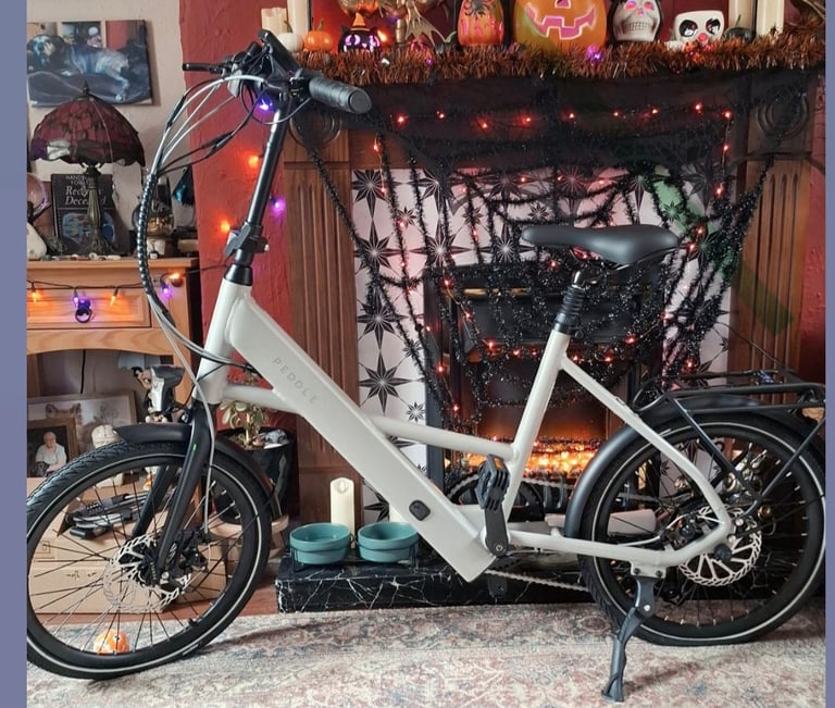 Electric bike for sale 