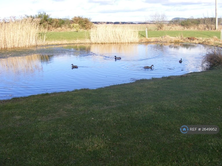 5 bedroom house in Cedars Court, Perth, PH2 (5 bed) (#2649952)