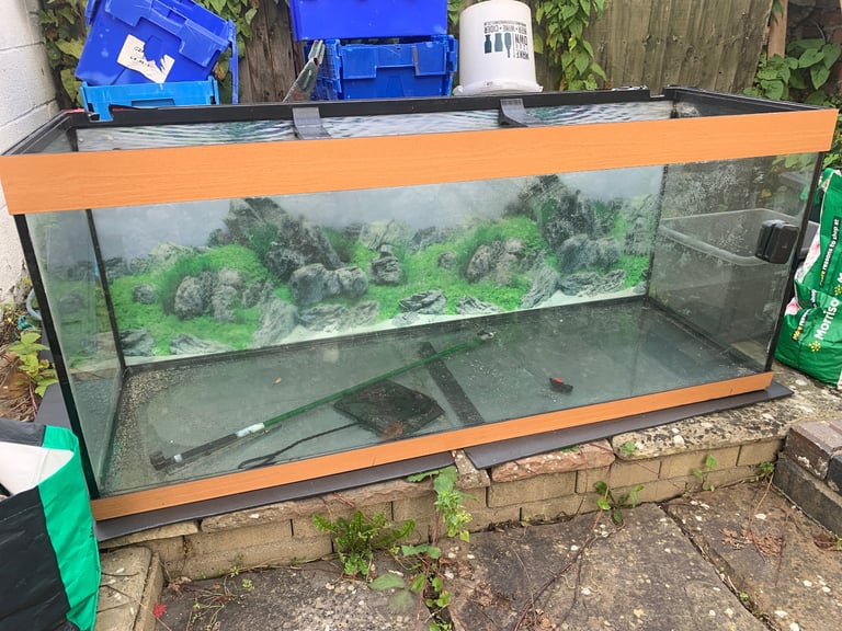 Beautiful Fish tank 5ft