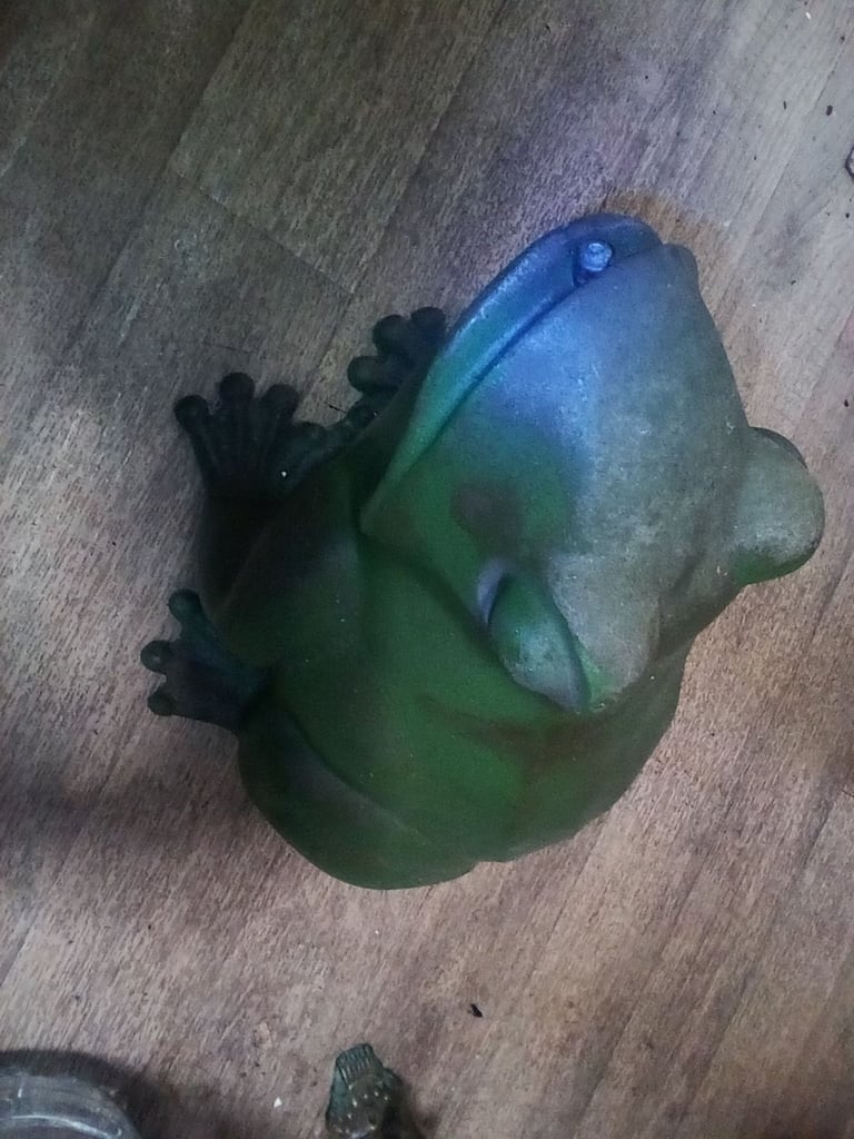 image for Vintage.  Pond.  Frog