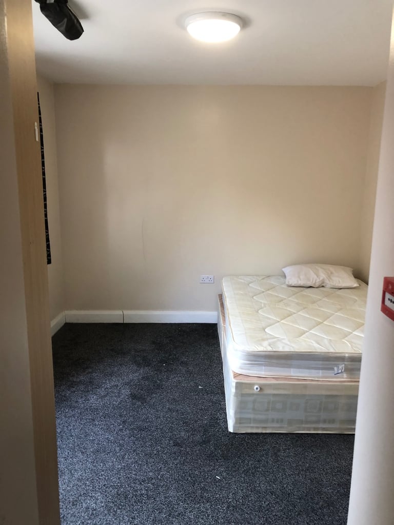 **Amazing Studio | Available Now | Professional Single/Couples**