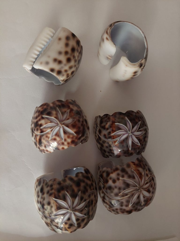 Tiger Shell Napkin Rings Beach Leopard Cowrie Napkin Holder (set Of 6) Beach