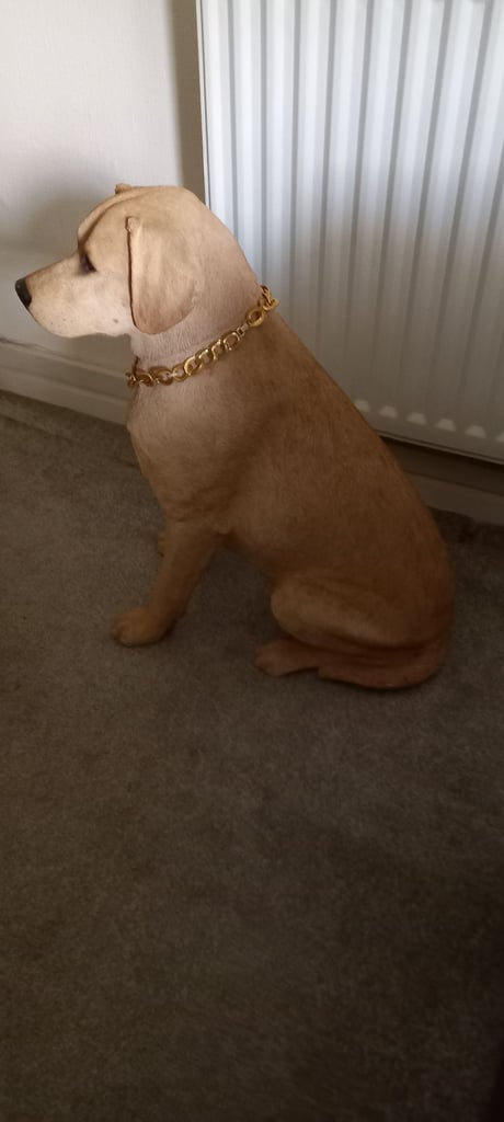 Sandstone Labrador