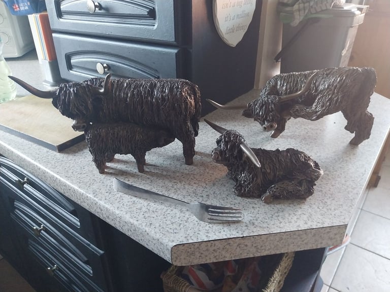 image for Highland cattle