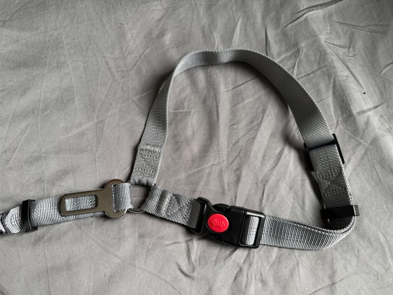 Dog car seat belt