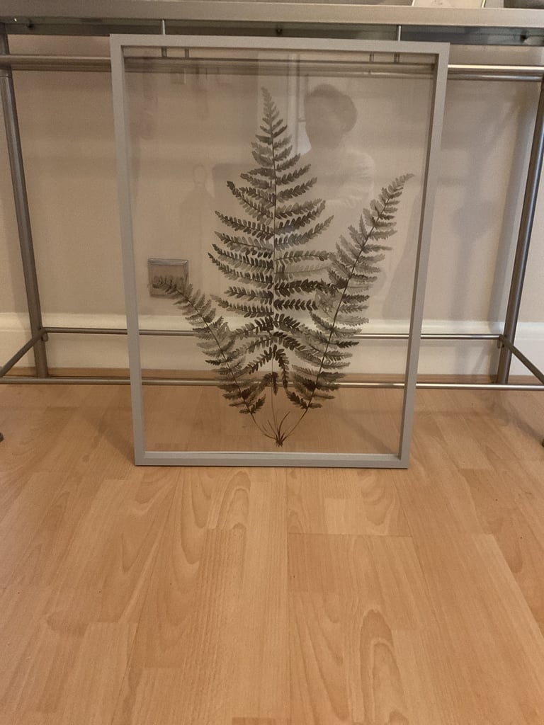 Picture of pressed plant