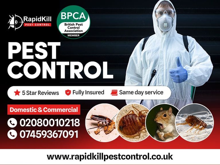 image for Pest Control Mice Rat bedbugs Ants exterminators  100% same day 
