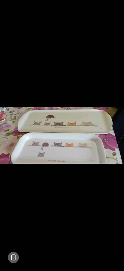 image for Two cat trays