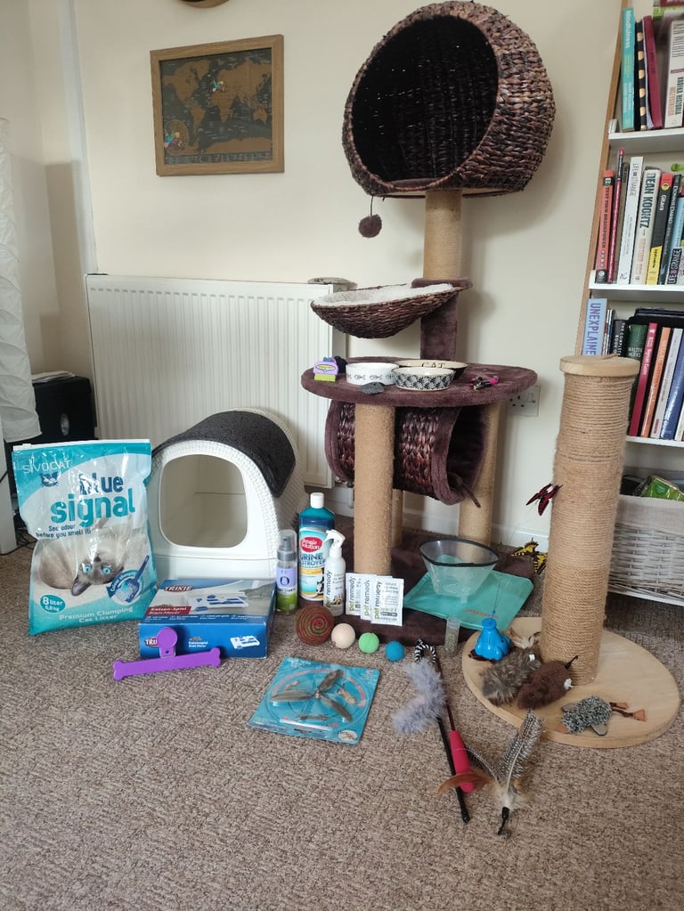 Huge Bundle of Equipment for Cats! Very good condition!