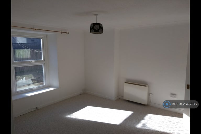 1 bedroom flat in Hoxton Road, Torquay, TQ1 (1 bed) (#2646506)